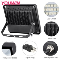 Projecteur LED extérieur YOUWIN IP66 étanche 10W RGB avec télécommande en aluminium certifié CE ROHS Options AC