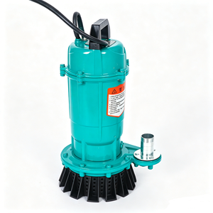 <span class=keywords><strong>Pompe</strong></span> submersible multifonctionnelle KQQS2 de moins de 1 kW, 220 V, haut débit, haute pression, en acier inoxydable, pour <span class=keywords><strong>eau</strong></span> propre et drainage des eaux usées - Product Image 1
