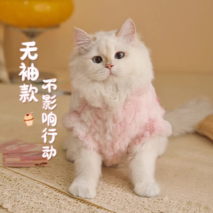 Hoopet – manteau d'hiver pour chat, vêtements chauds coupe-vent pour animaux de compagnie Ragdoll British Shorthair, vêtements d'automne et d'hiver - Product Image 3