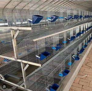 กรงเลี้ยงกระต่ายราคาถูกจากยุโรป โรงงานจีนขายตรง กรงอุตสาหกรรมสำหรับอุปกรณ์เพาะพันธุ์<span class=keywords><strong>กระต่าย</strong></span>ในฟาร์ม - Product Image 3