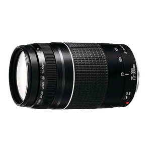 Objectif d'appareil photo d'occasion original en gros à prix abordable, objectif EF-S 75-300mm 1:4-5.6 - Product Image 1