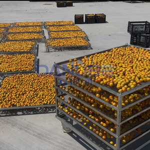 Séchoir à pompe à chaleur pour abricots certifié qualité, chambre de séchage pour abricots, équipement de déshydratation pour abricots - Product Image 2