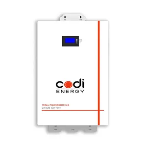 Codi能源高容量512.2 V 100AH壁挂锂电池5.12kwh