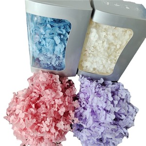 Hydrangeas Pagoda Préservées Premium à Feuilles Moyennes, <span class=keywords><strong>Fleurs</strong></span> Éternelles, Hydrangeas Véritables pour Décoration de Mariage, Matériel DIY, Cadeau, Vente en Gros - Product Image 5