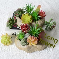 Mini bonsaï artificiel succulent Fanjingfloral, plante verte floquée, décoration murale DIY, ornement pour la maison et le bureau, jardin vertical