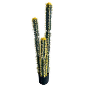 Plantas Suculentas Artificiales para Decoración de Jardín, Cactus Artificial Grande, Decoración de Escritorio, Plantas Verdes Emulacionales - Product Image 1