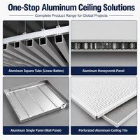 Plaques de plafond en aluminium imperméables, insonorisées, ignifuges, isolantes thermiquement, anti-humidité, anti-moisissures, 600x600mm, revêtement poudré