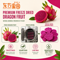 HALAL KOHSER BRC CERTIFICAAT 100% VEGAN Natuurlijke Fruit SNACK Gevriesdroogde Dragon Fruit SMAAK Knapperig Pitaya ODM OEM Private Label