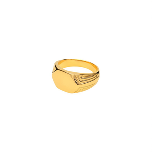 Fashion <b>Ring</b> 316L Stainless Steel PVD Gold Plating Resistant Sustainable Men's Jewelry - Product Image 2