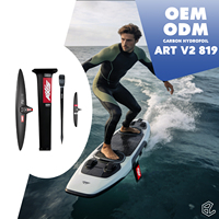 Hydrofoil Tarifa High Wind ART V2 819 en carbone, aile de foil rapide, accélération rapide, virages agiles, performance sportive freestyle AXIS