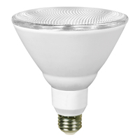 LED PAR20 7W PAR30 12W PAR38 13W 16W 120V LED BB Light SPOT Angle de faisceau 25 40