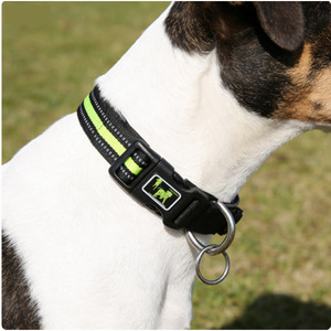Collier Réfléchissant Réglable pour Chien Vert Bleu Orange Durable Confortable Toutes Saisons Style Simple - Product Image 1