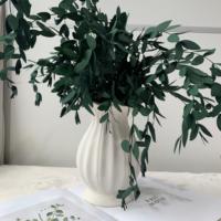 Lovebay Home Decor Plante préservée Feuilles d'eucalyptus séchées Feuillage Feuilles d'eucalyptus conservées naturelles pour arrangement de mariage