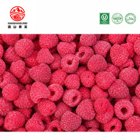 Diepvries Frambozen Groothandel IQF Diepvries Frambozen Hele Natuurlijke Zoete Diepvriesvruchten Uit China