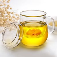 Tasse à thé en verre avec infuseur et couvercle Tasse à thé de voyage pour cadeaux