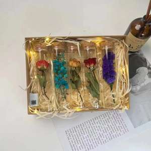 Tube à essai de roses séchées bouquet de fleurs séchées en verre petits ornements spécimen de plante diy pour le cadeau de la fête des enseignants - Product Image 6