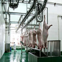 Équipement d'abattage automatique de porcs, projet clé en main, 100-300 porcs par jour, équipement d'abattoir de porcs