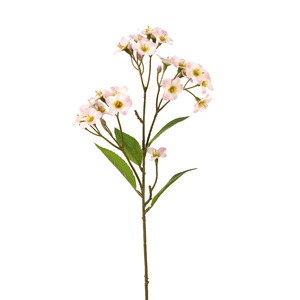 ดอกเดซี่ประดิษฐ์ขนาดเล็ก สมจริง ทำจากพลาสติก PVC สำหรับตกแต่งงานแต่งงานและบ้าน  จำลองได้ดีเยี่ยม - Product Image 4