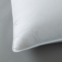 Coussins décoratifs modernes en polyester 100 % pour la maison, oreillers carrés moelleux, vente en gros