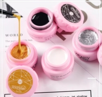 HONEY GIRL Private Label 5ml Vernis à ongles UV Art Salon professionnel Qualité Gel pour ongles d'araignée Dessin au trait personnalisé Peinture