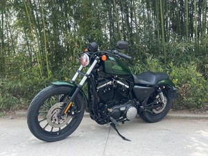 Motocyclettes d'occasion Harley-Davidson 883N 883cc Vert Émeraude Peinture Candy, Cruiser Classique Américain, Belle Couleur, Prix Raisonnable - Product Image 5