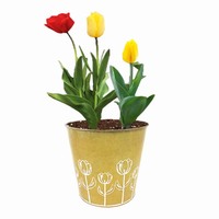 Pot Bunga Logam Berwarna-warni Galvanis Desain Minimalis HORTISTEN STJ012 Ramah Lingkungan Tahan Lama Untuk Penggunaan Dalam Ruangan Rumah
