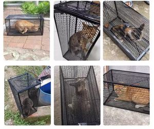 Levende Dieren Kooi Val Humane Kat Val Gegalvaniseerd Ijzer Met Handvat Voor Konijnen Eekhoorns Groundhogs - Product Image 6