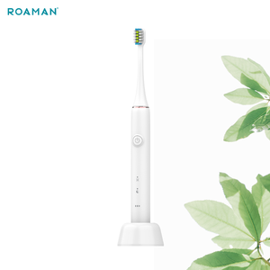 Roaman Không Thấm Nước Sonic Có Thể Sạc Lại Electrictoothbrush Du Lịch Răng Làm Trắng Sonic Bàn Chải Đánh Răng Điện T21 - Product Image 5