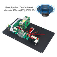 Carte d'Amplificateur Audio VIRE 5.3 à Haute Puissance DSP pour Enceinte Chariot Extérieure, Module d'Amplificateur Audio Mono Stéréo 160 W