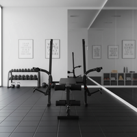 Équipement de musculation portable et écologique pour la maison, banc de musculation Excel, support pour haltères, support pour squats, banc de musculation en métal, modèle d'entraînement