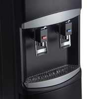 Distributeur d'eau domestique électrique personnalisable avec LED, eau chaude et froide, pour consommation directe