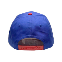 Casquette de baseball unisexe à 5 panneaux, visière incurvée, en coton, bicolore, à couronne haute, avec broderie RD BA, fabrication directe usine BSCI, personnalisable