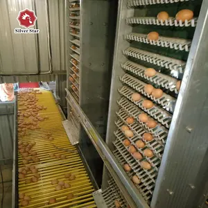 Cinghia di trasporto delle uova di gallina del trasportatore della gabbia del pollo di automazione di vendita calda per l'articolo su ordinazione della gabbia del pollame