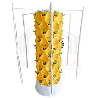 Système hydroponique vertical à 10 étages, 80 trous, 30L, tour de culture aéroponique avec éclairage