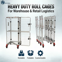 Conteneur de sécurité TER avec cage de protection, toit et portes verrouillables pour un transport sécurisé, protection antivol, chariot logistique