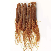 Poudre d'extrait de racine de ginseng rouge naturel à 10%, 20%, 80% de saponines, prix de gros usine