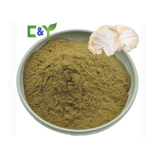 Özel etiket 12 in 1 mantar Gummies Nootropic beyin takviyesi mantar özü Booster bellek enerji mantar Gummies - Product Image 3