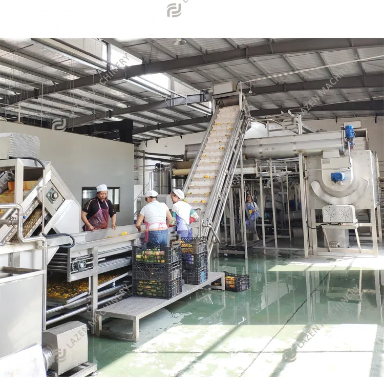 Komple doğal meyve suyu üretim hattı meyve suyu üretim hattı sıkacağı üretim hattı işleme makinesi