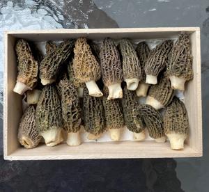 Оптовая Продажа, экспорт, свежие натуральные сублимационные сморчки Detan, сушеные черные сморчки - Product Image 5