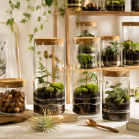 Terrarium en verre en gros avec couvercle en liège, pot de culture d'intérieur pour plantes succulentes, mousse, mini-jardin, décoration d'intérieur