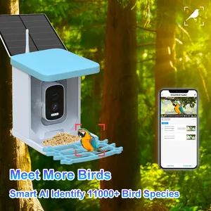 Kamera pemberi makan burung pintar Mini untuk hadiah 360 panorama 4MP HD pengumpan burung untuk menonton