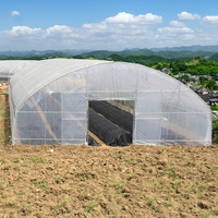 Serre Commerciale Portable à Faible Coût pour Pépinière Agricole, en Film PE, avec Système d'Irrigation et Structure en Acier Galvanisé à Chaud