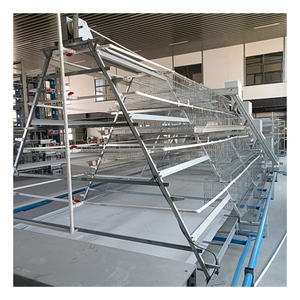 <span class=keywords><strong>Poulailler</strong></span> à 3/4 niveaux de type A pour 96/120/128/160 poules pondeuses, cage à poules avec équipement d'alimentation automatisé pour poules pondeuses - Product Image 4
