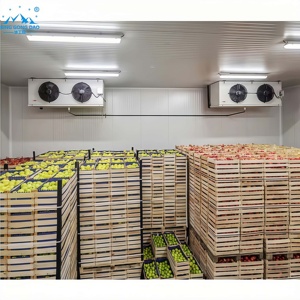 Vente en gros usine : <span class=keywords><strong>Chambre</strong></span> <span class=keywords><strong>froide</strong></span> multi-températures à faible consommation d'énergie, personnalisée pour l'industrie alimentaire et les boulangeries, idéale pour le stockage de viandes semi-finies - Product Image 6