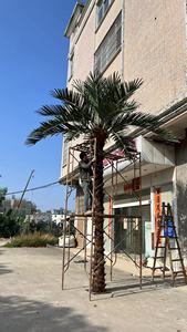 5m 6m palmiers artificiels cocotier palmier artificiel pour la décoration intérieure - Product Image 4