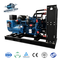 Générateur à gaz à châssis ouvert de 100 kW, 200 kW, 300 kW, fourni par l'usine, pour usage domestique et industriel