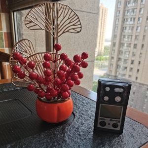 Détecteur de gaz multi-gaz portable ISC Ventis MX4, très vendu, avec ou sans pompe - Product Image 3