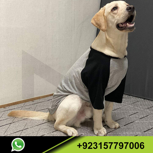 Camisetas de Algodón para Perros Pequeños y Grandes, Camisetas Raglán Suaves y Transpirables, Ropa para Perros, Ropa para Mascotas al por Mayor - Product Image 2