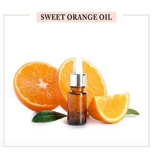 Huile Essentielle de Romarin Bio en Gros Rosmarinus Officinalis Distillée à la Vapeur USDA Ecocert Maroc Cosmétique en Gros - Product Image 2