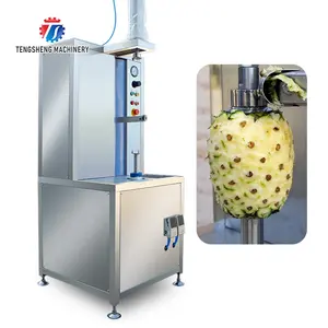 Sbucciatore automatico della zucca del mango della macchina commerciale del pelapatate della frutta dell'ananas da vendere pelapatate della pelle dell'ananas (TS-P60)